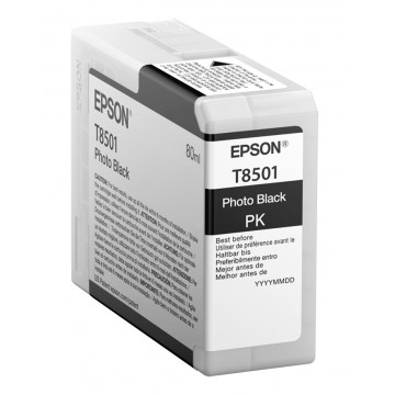 EPSON ENCRE T850100 N PHOTO