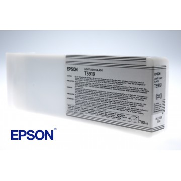 EPSON ENCRE N SP11880 700ML