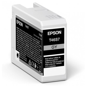 EPSON ENCRE T46S7 G 25ML