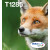 EPSON ENCRE T128 C.M.J.N EASYMAIL