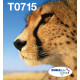 EPSON ENCRE T071 EASYMAIL MULTIPACK 