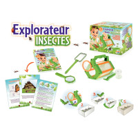 Explorateur d'insectes 