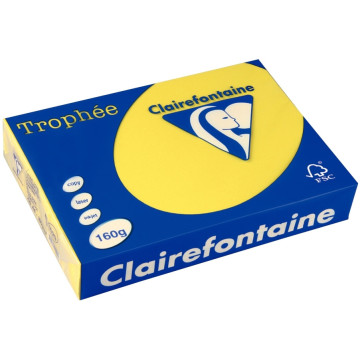 Paquet de 250 feuilles de papier 160g de format A4 jaune soleil TROPHEE CLAIREFONTAINE