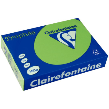 Paquet de 250 feuilles de papier 160g de format A4 vert menthe TROPHEE CLAIREFONTAINE