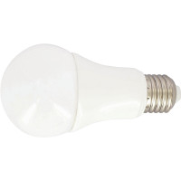 Ampoule à LED haute performance culot E27 8,8 W blanc chaud 