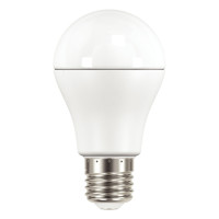 Ampoule à LED E27 haute performance 10,5W 