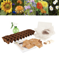 Carton de 30 sachets de graines de fleurs 