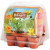 Serre de 6 pots : mon premier jardin