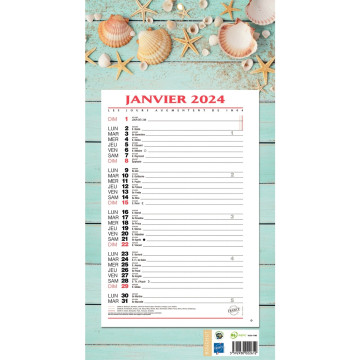 Calendrier mensuel 12 feuilles 36 x 19 cm ambiance