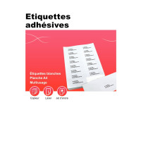 Boîte de 100 étiquettes multi-usages blanches 289,1x199,6mm 