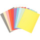Paquet de 100 chemises 220g FOREVER, format 24x32 cm, coloris assortis