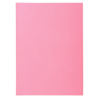 Paquet de 250 sous-chemises 60g Format 22x31 cm rose 