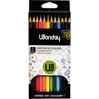 Etui de 12 crayons de couleurs assorties 