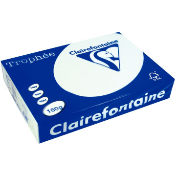 Paquet de 250 feuilles de papier 160g de format A4 gris TROPHEE CLAIREFONTAINE