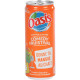 Pack de 24 canettes 33cl slim OASIS tropical 