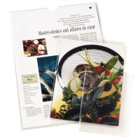 Boîte de 100 étuis en polypropylène 12/100ème pour format A4 