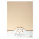 Étui de 50 feuilles Pollen Clairefontaine format 21 x 29,7 cm 160g ivoire 