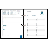 Socle + bloc Planing dominante 