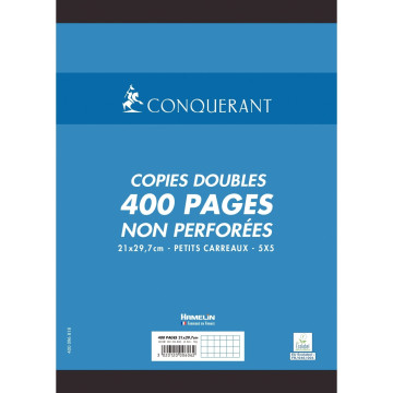 Sachet de 100 copies doubles non perforées format A4 (21 x 29,7 cm) quadrillé 5x5 70 g