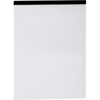 Bloc de bureau 100 feuilles 60 g, 5x5 sans couverture, 21x29,7 cm 