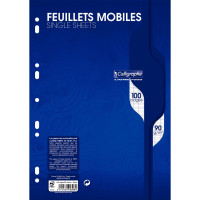 Sachet de 50 feuillets mobiles (100 pages) format 21x29,7cm séyès 90g blanc 