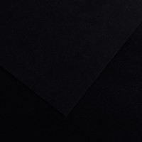 Paquet de 10 feuilles Colorline 50x65 cm 150 g noir 