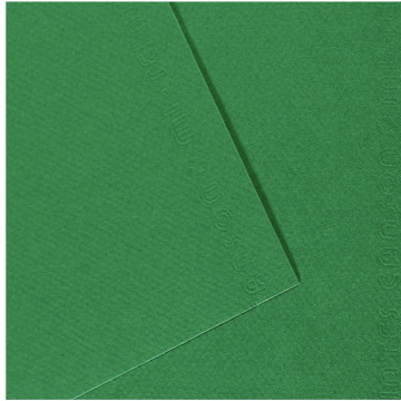 Paquet de 10 feuilles mi-teinte format 50x65 coloris vert billard