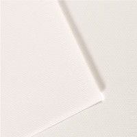 Paquet de 10 feuilles mi-teinte format 50x65 coloris blanc 