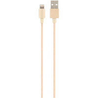 Câble lightning USB 2 mètres 