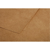 Paquet de 25 cartes Pollen Clairefontaine format 11 x 15 cm 200g kraft 