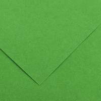 Paquet de 10 feuilles Colorline 50x65 cm 150 g vert franc 