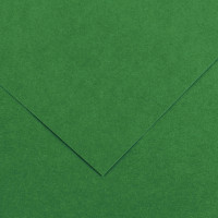 Paquet de 10 feuilles Colorline 50x65 cm 150 g vert mousse 