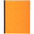 Piqûre de 80 pages Caisse/Banque format 25 x 32 cm