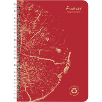 Cahier à reliure intégrale FOREVER, 120 pages, format A4, seyès 