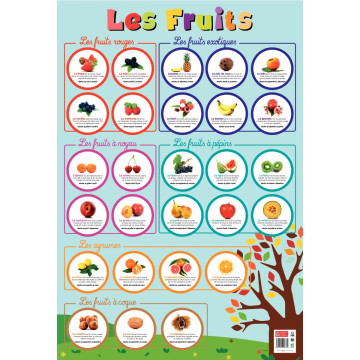 Poster Pédagogique en PVC 76x52cm - Thème Les Fruits