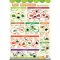 Poster Pédagogique en PVC 76x52cm - Thème Les Légumes 