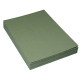 Paquet de 100 couvertures grain cuir 250g A4 vert 