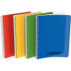 Cahier à reliure intégrale couverture polypropylène, 100 pages format 17x22 cm 5x5, coloris assortis