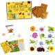 Kit des abeilles et des fleurs